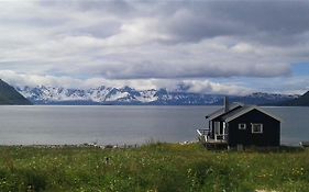 Arctic Fjordcamp